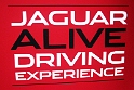06-JAGUAR-Alive-Driving-Experience