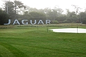 350_Jaguar-display