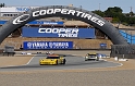 ALMS-335-GT-winner-Corvette-Racing