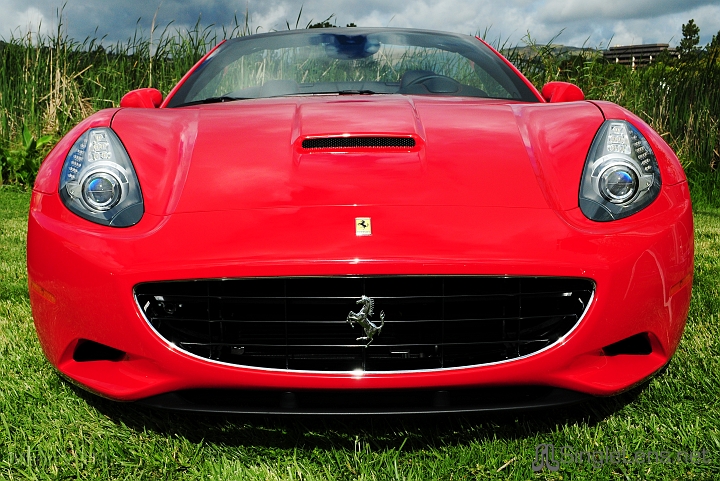 065_Marin-Sonoma-CONCOURS_9792.JPG
