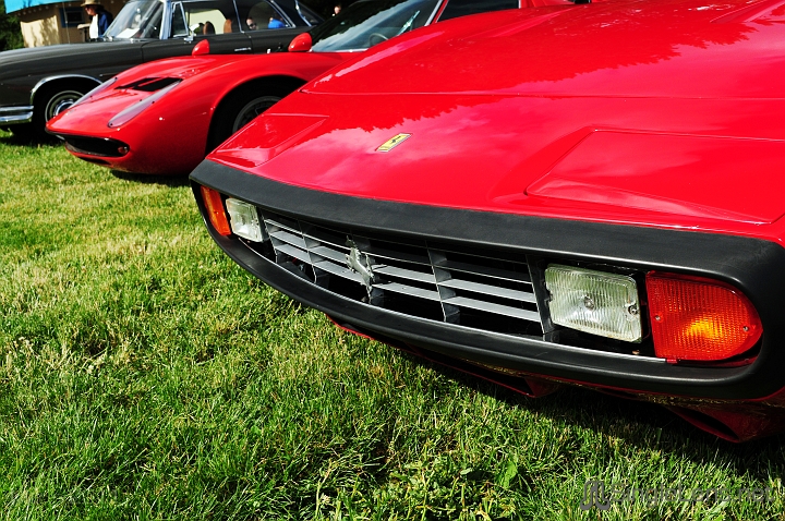 067_Marin-Sonoma-CONCOURS_9763.JPG