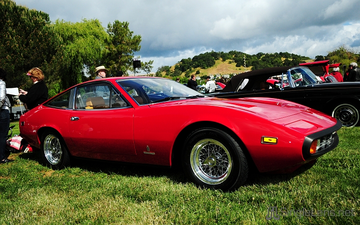 069_Marin-Sonoma-CONCOURS_9841.JPG