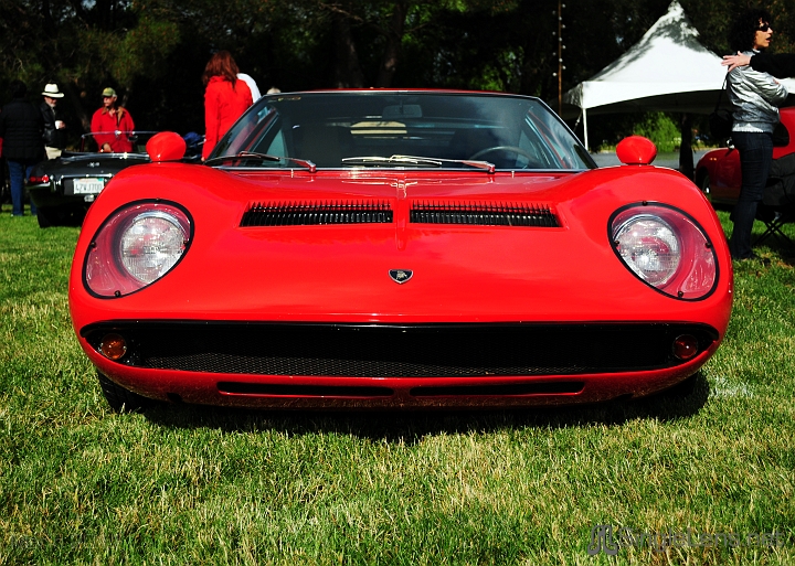 072_Marin-Sonoma-CONCOURS_9759.JPG
