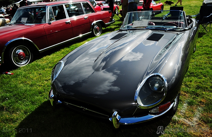 083_Marin-Sonoma-CONCOURS_9835.JPG