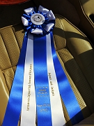 237_concours-ribbon_4367