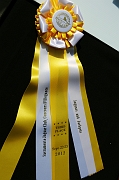 238_concours-ribbon_9736