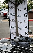 005_Jaguar-Clubs-of-North-America_9446