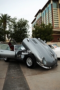 045_1965-Jaguar_9524