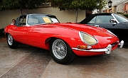 048_1962-Jaguar_9534