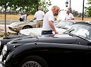 143_concours-detailing_4307