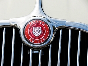 174_Jaguar-grille-emblem_4342