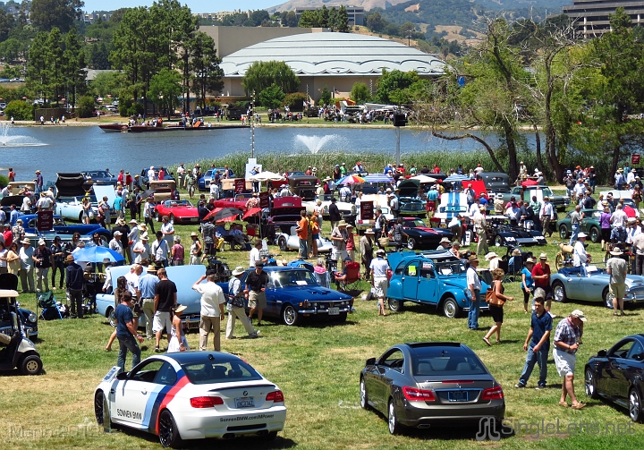 Marin-Sonoma-Concours_001.JPG