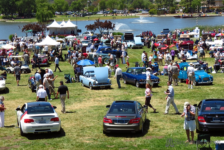 Marin-Sonoma-Concours_002.JPG
