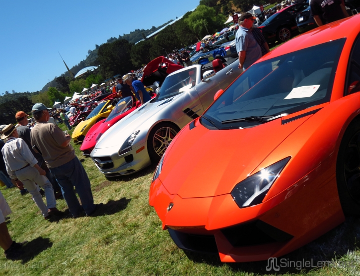 Marin-Sonoma-Concours_005.JPG
