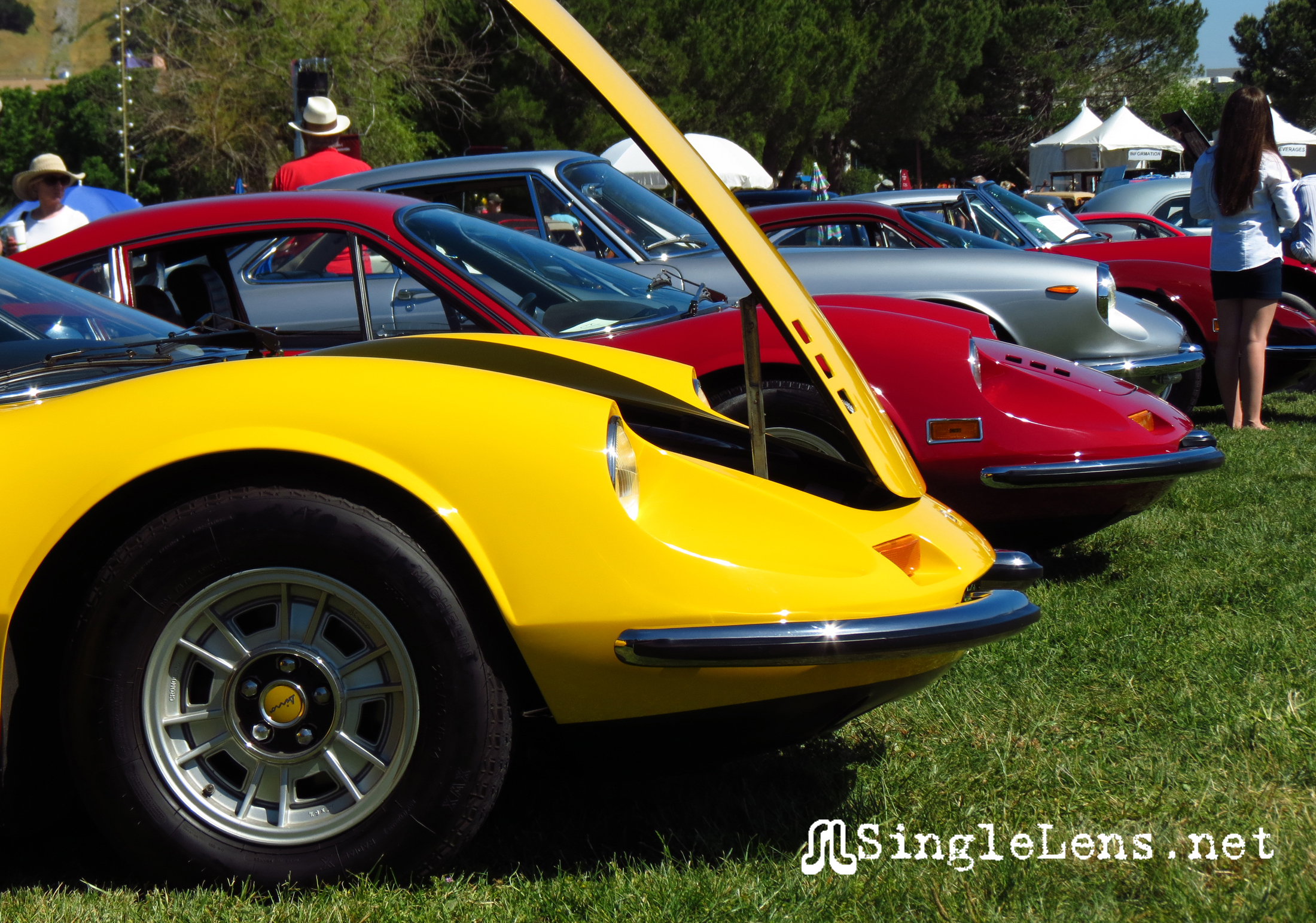 Marin-Sonoma-Concours_007.JPG