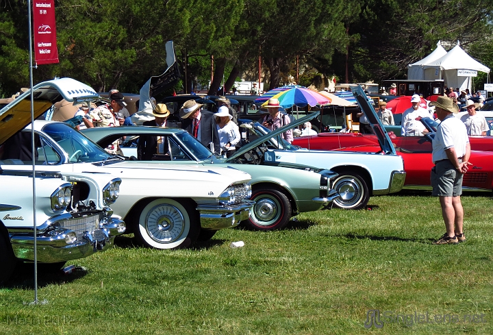Marin-Sonoma-Concours_010.JPG