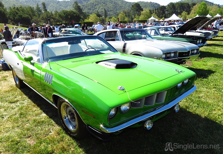Marin-Sonoma-Concours_011.JPG