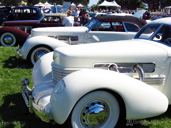 Marin-Sonoma-Concours_013.JPG