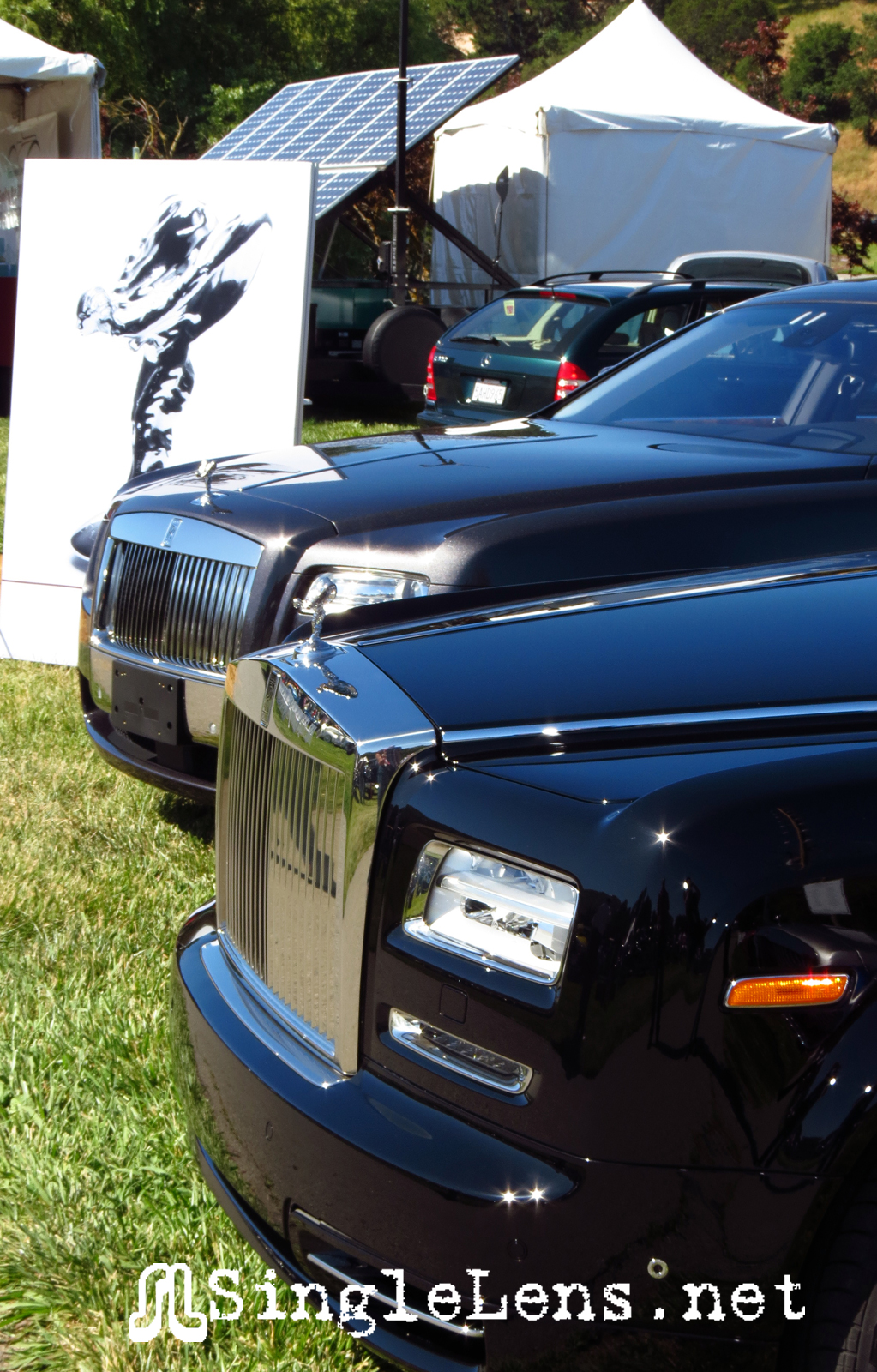 Marin-Sonoma-Concours_014.JPG