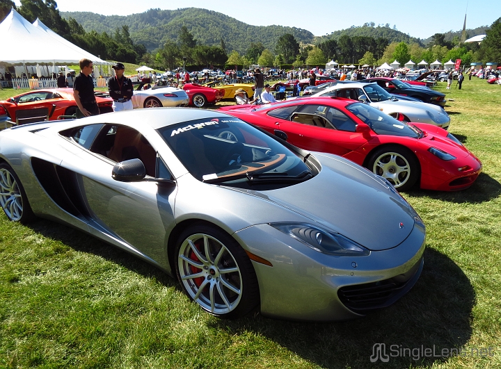 Marin-Sonoma-Concours_016.JPG