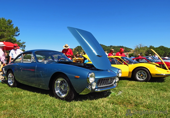 Marin-Sonoma-Concours_018.JPG