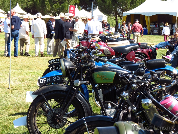 Marin-Sonoma-Concours_019.JPG