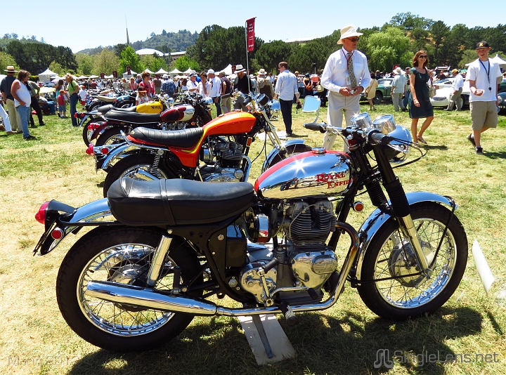 Marin-Sonoma-Concours_021.JPG
