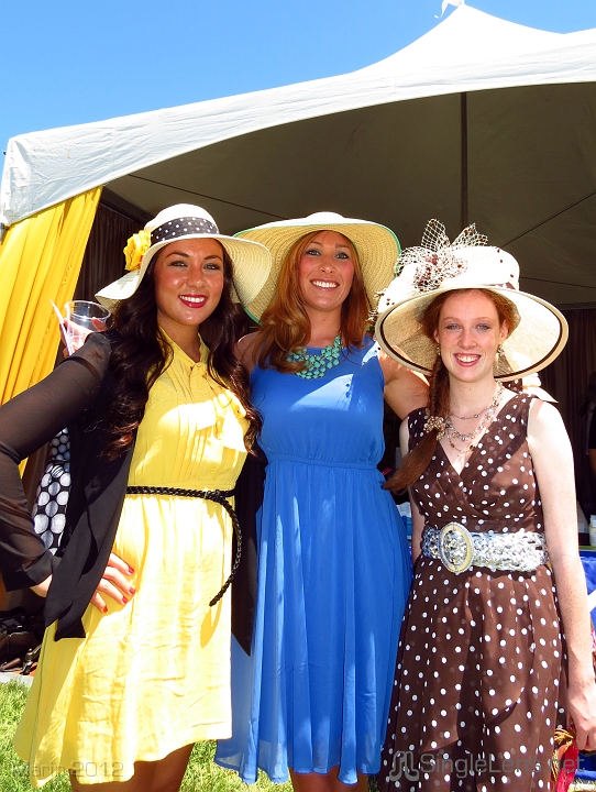 Marin-Sonoma-Concours_024.JPG