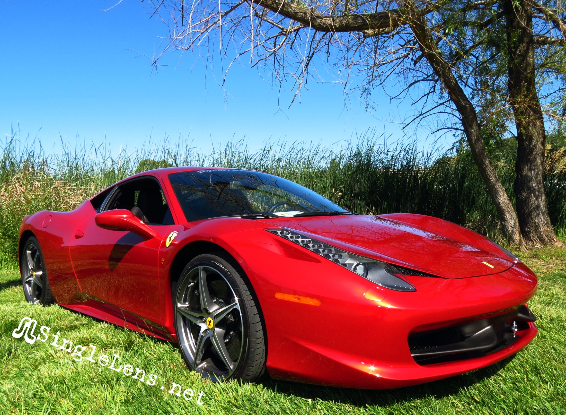 Marin-Sonoma-Concours_026.JPG