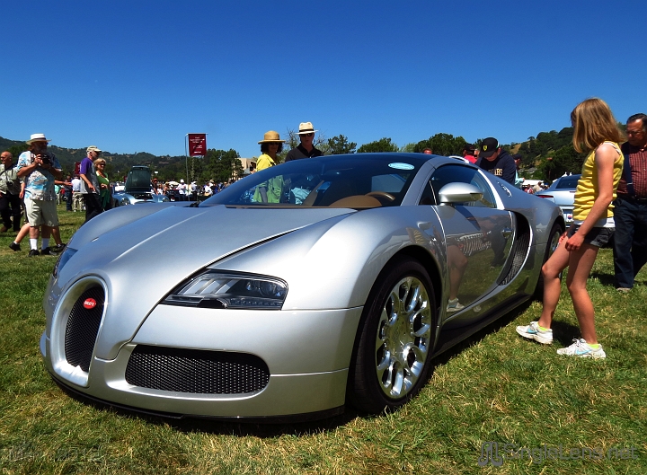 Marin-Sonoma-Concours_029.JPG