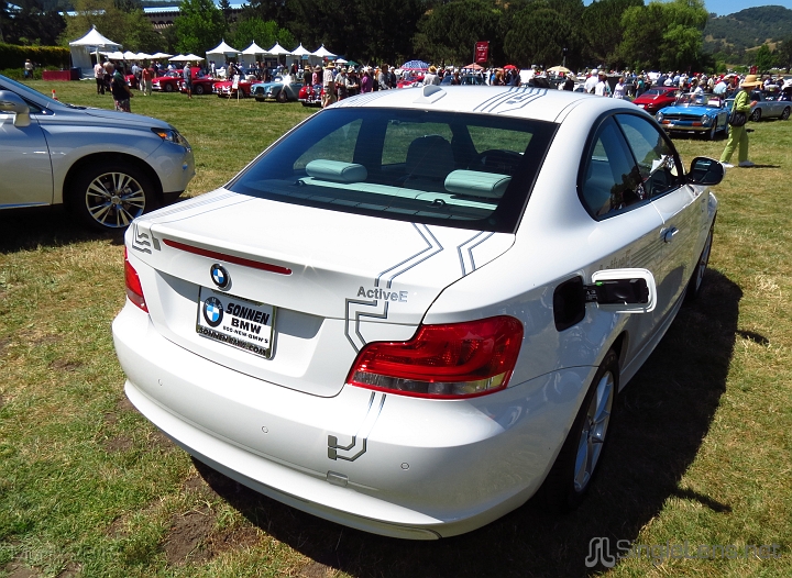 Marin-Sonoma-Concours_036.JPG
