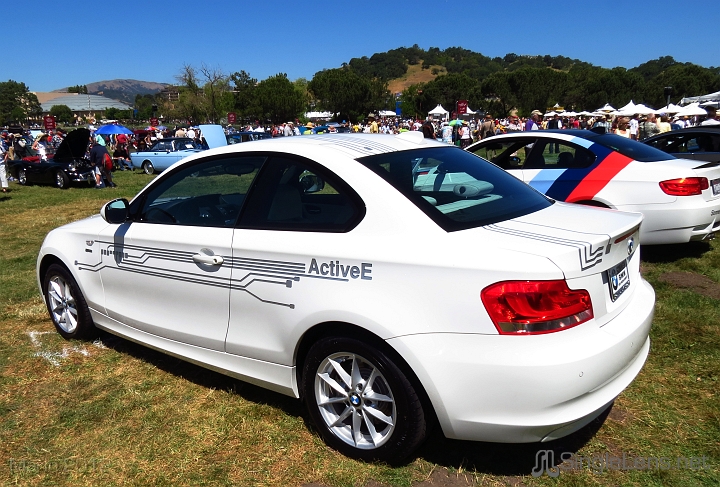 Marin-Sonoma-Concours_041.JPG