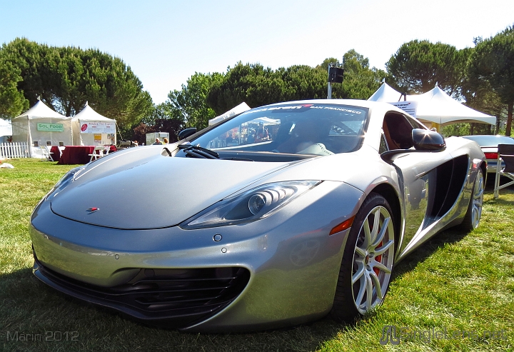 Marin-Sonoma-Concours_050.JPG