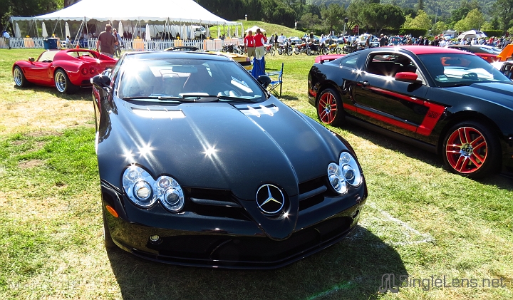 Marin-Sonoma-Concours_054.JPG