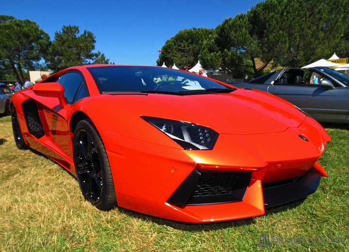 Marin-Sonoma-Concours_056.JPG