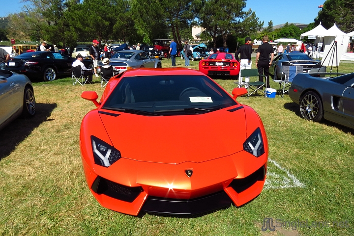 Marin-Sonoma-Concours_057.JPG