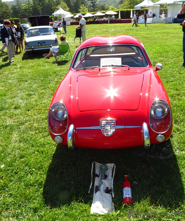 Marin-Sonoma-Concours_094.JPG