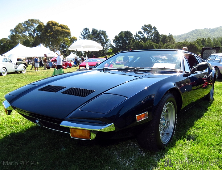 Marin-Sonoma-Concours_100.JPG