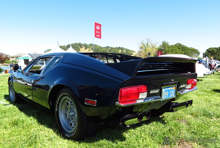 Marin-Sonoma-Concours_101.JPG