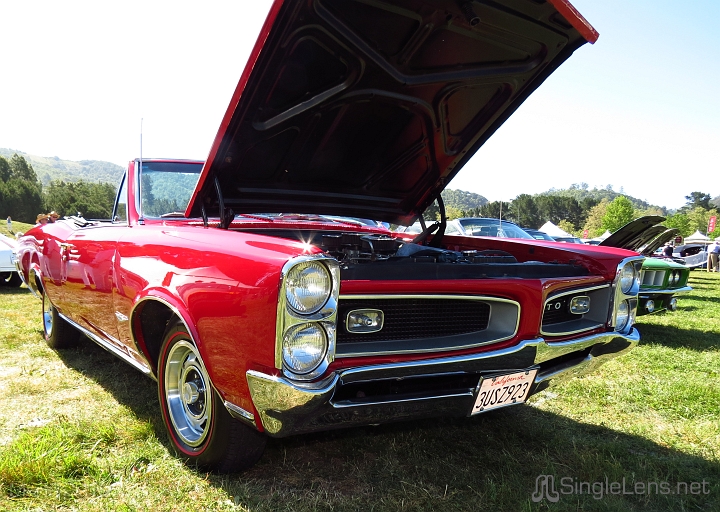 Marin-Sonoma-Concours_106.JPG