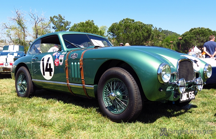 Marin-Sonoma-Concours_110.JPG