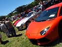 Marin-Sonoma-Concours_005