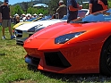 Marin-Sonoma-Concours_006