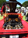 Marin-Sonoma-Concours_046