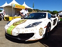 Marin-Sonoma-Concours_051