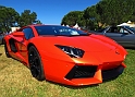 Marin-Sonoma-Concours_056