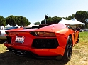 Marin-Sonoma-Concours_058