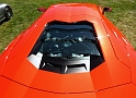 Marin-Sonoma-Concours_059