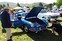 Marin-Sonoma-Concours_072