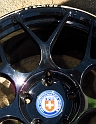 Marin-Sonoma-Concours_083